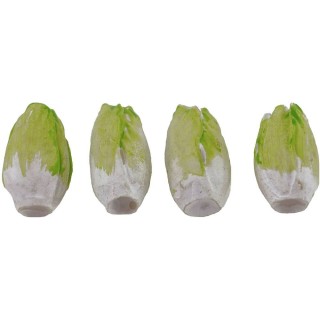 Set 4 achicoria 1,8 cm