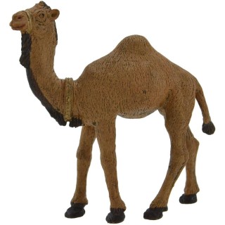 Dromedary Oliver series