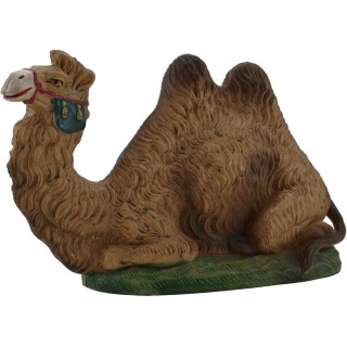 Camello acostado real 15 cm
