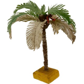 Palm tree with two-tone leaves available in various heights:
