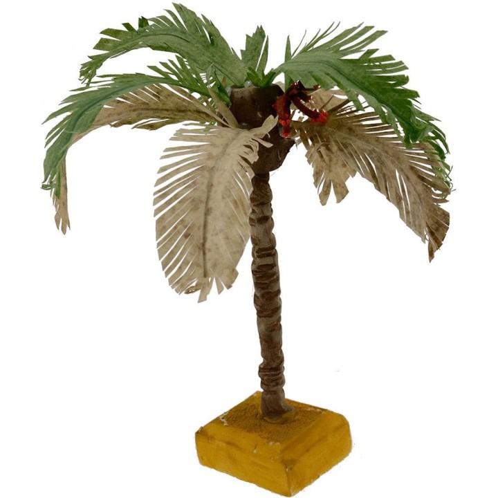 Palma con foglie bicolore disponibile in varie altezze: