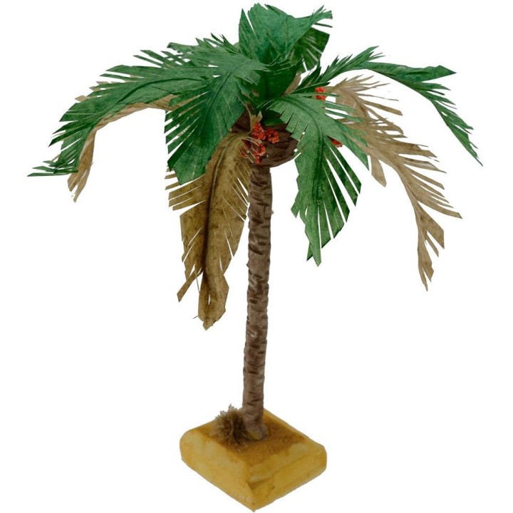 Palma con hojas bicolores disponible en varias alturas: