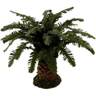 Palma nana deluxe disponibile in varie altezze: