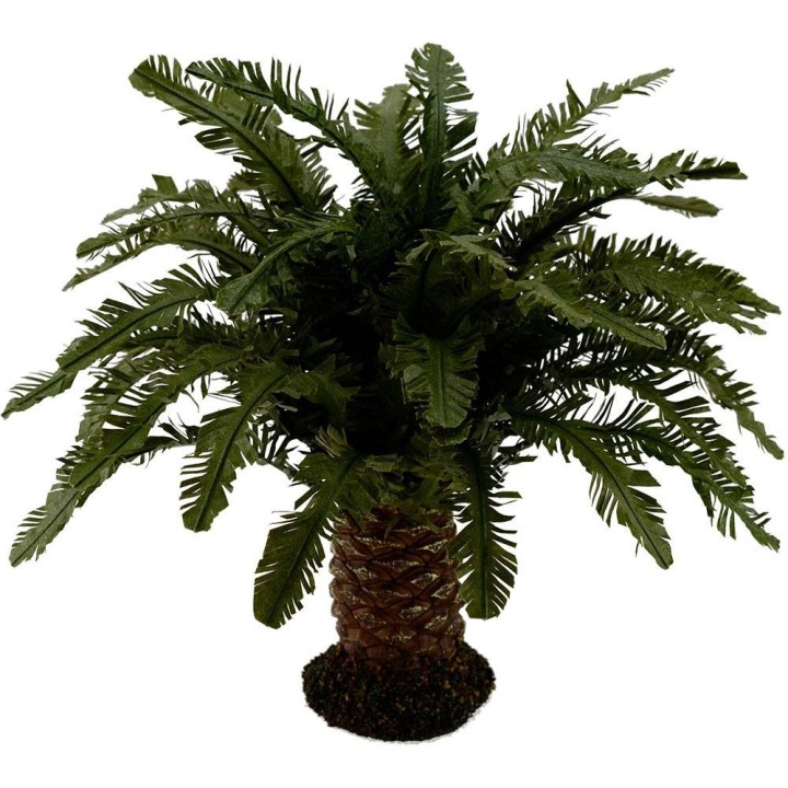 Palma enana deluxe disponible en varias alturas: