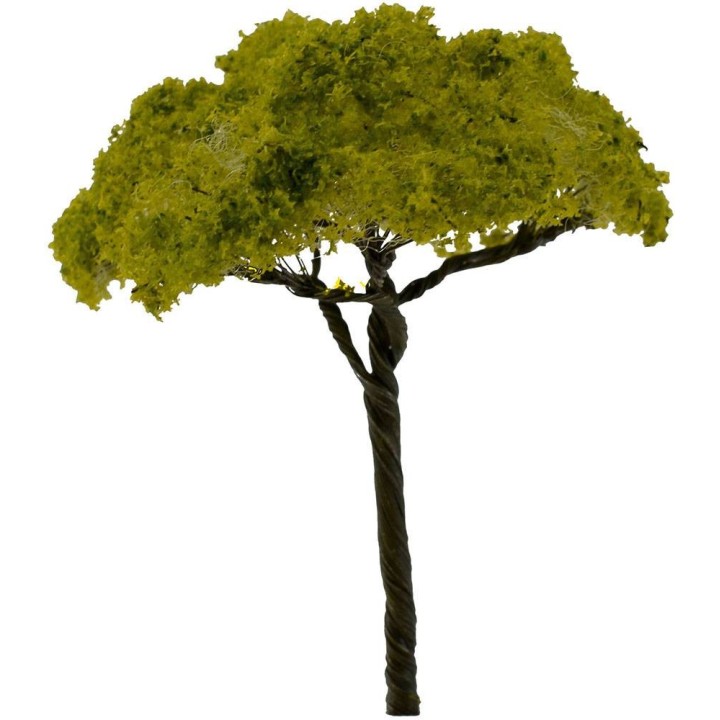 Árbol con injerto de 13 cm belén