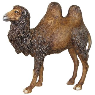 Cammello in resina 30 cm Pigini