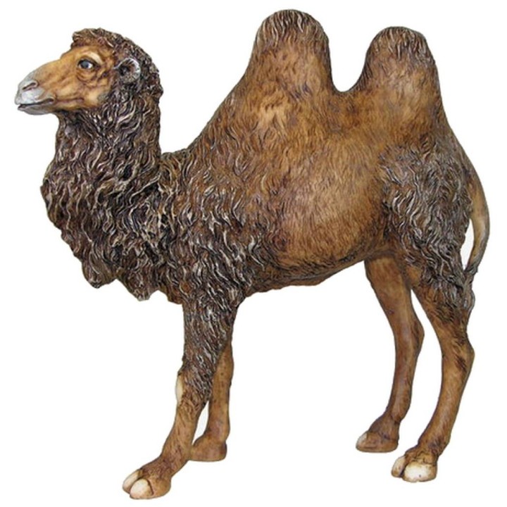 Cammello in resina 30 cm Pigini
