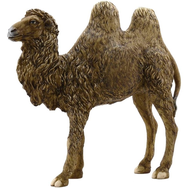 Resin camel 30 cm Pigini