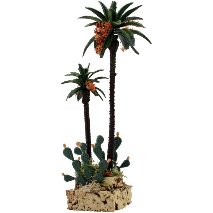 Palme e cactus h. 