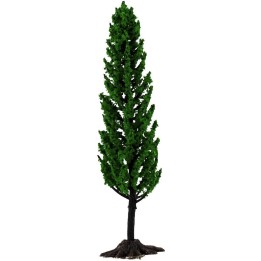 Cypress h. 