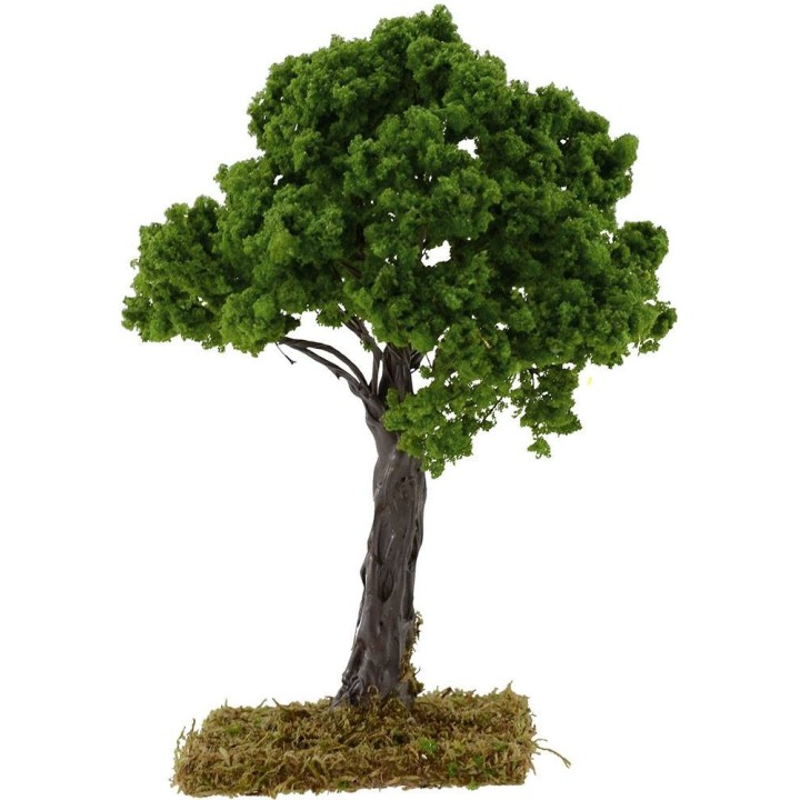 Quercia h.16 cm