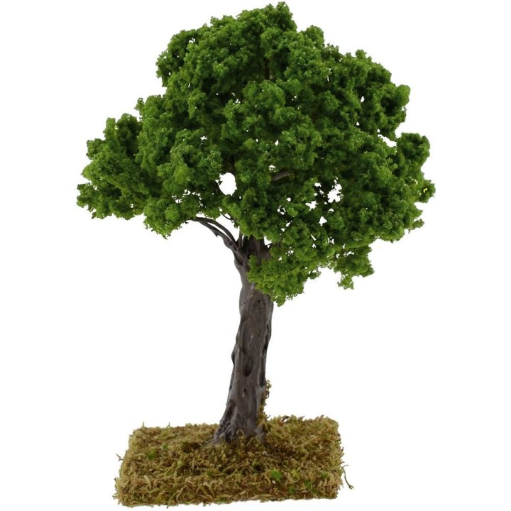 Roble h.16 cm