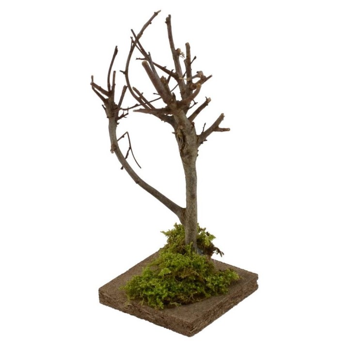 Árbol h. 
