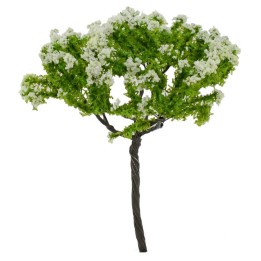 Planta florecida sin base h. 