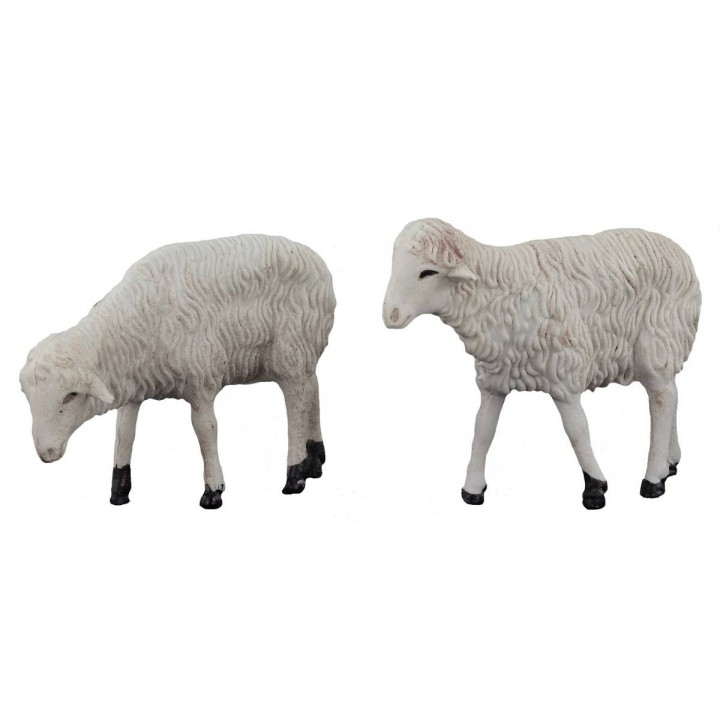 Sep 2 sheep cm 4-4, 5 h. 