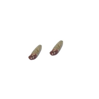 Conjunto de 2 salamis curados