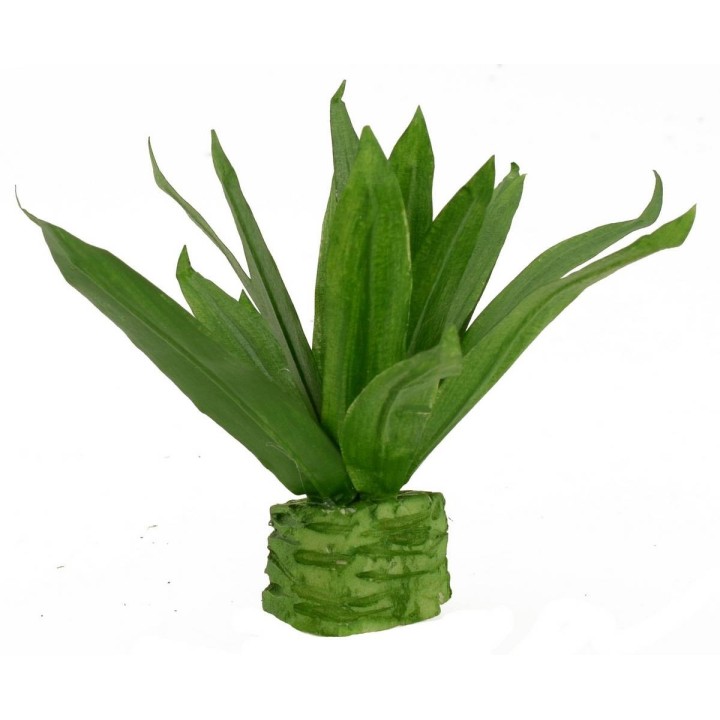 Agave moldeable cm 10,5 h