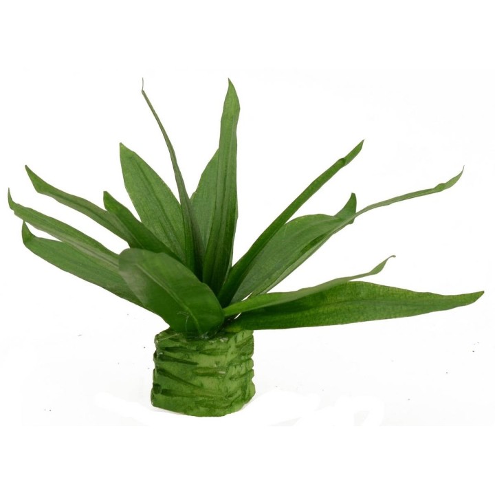 Agave moldeable cm 10,5 h