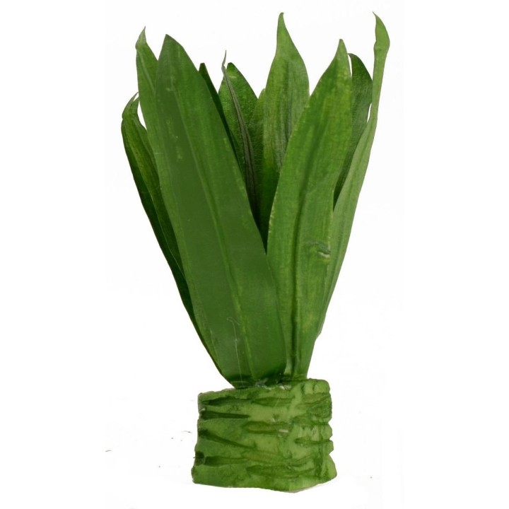 Agave moldeable cm 10,5 h