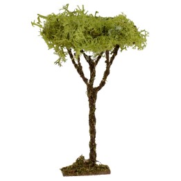 Tree h. 