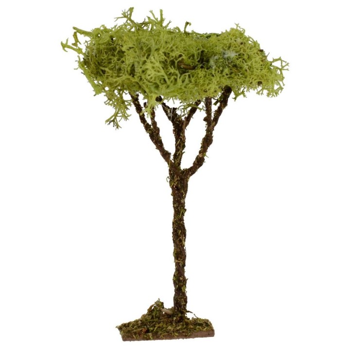Árbol h. 