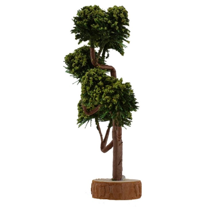 Tree with green chioma h. 