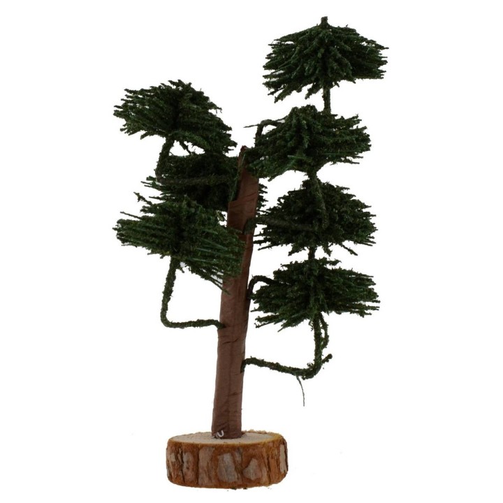 Árbol con copa verde bosque h. 