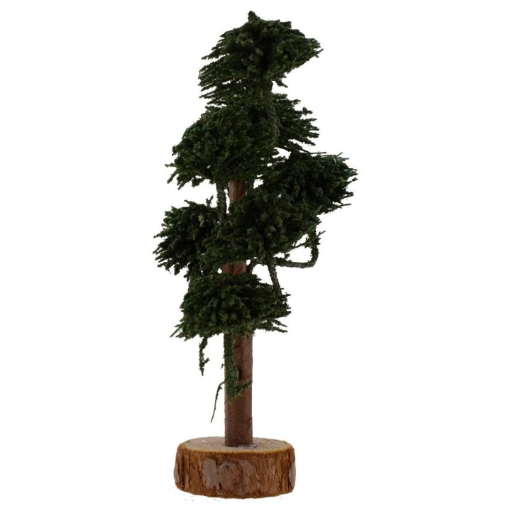 Tree with green chioma woods h. 