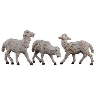 Set of 3 sheep for statues from 19 cm Fontanini