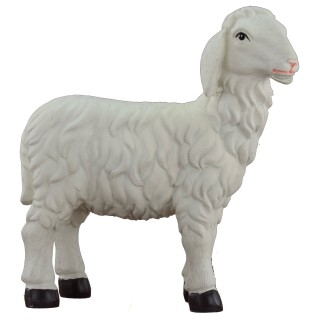 Oveja cabeza alta para estatuas de 40 cm