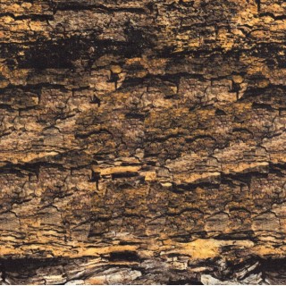 3D modeling cork bark paper 60x30 cm