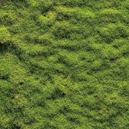 Moss paper 3D modeling nativity 60x60 cm