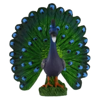 Peacock cm 6x6,6h