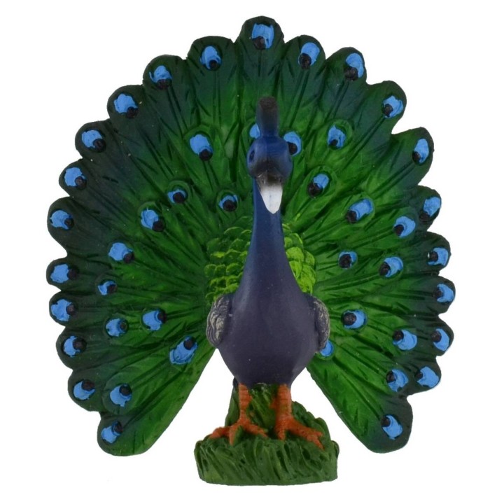 Pavo cm 6x6,6h
