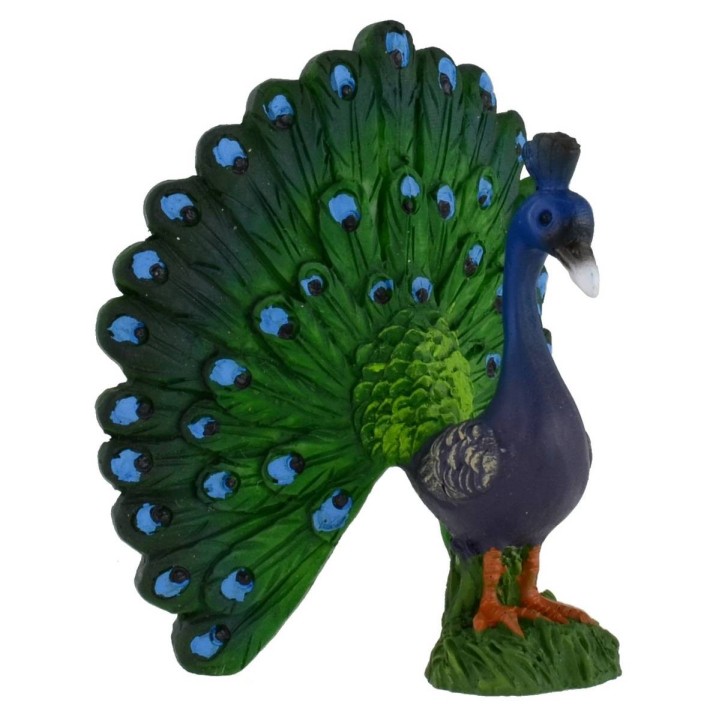 Pavo cm 6x6,6h