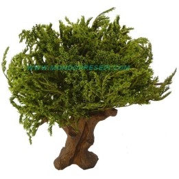 Árbol 25-27 cm hojas Verdes