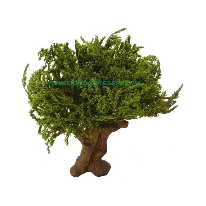 Tree 25-27 cm Green leaves