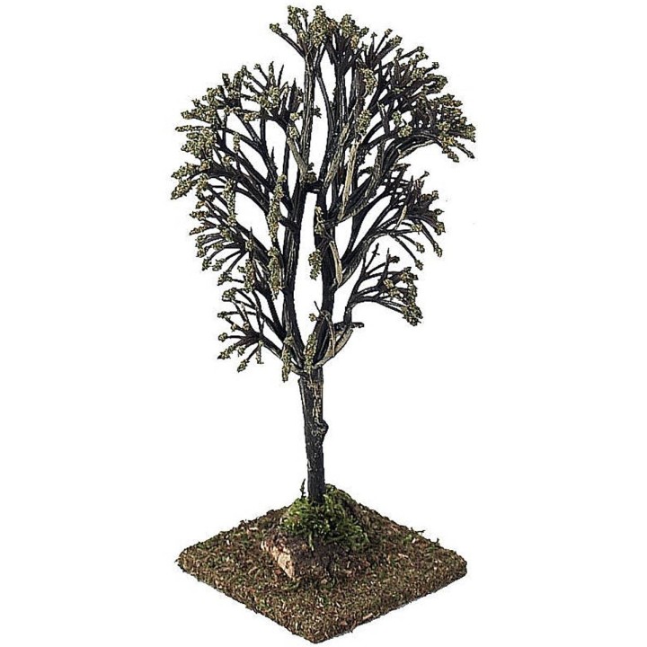 Tree h. 