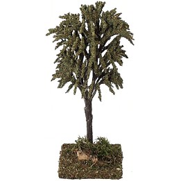 Árbol verde h. 