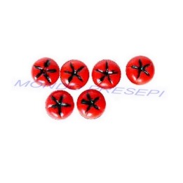 Juego de 6 piezas de tomates