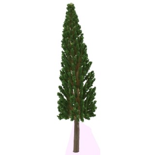 Cipresso senza base 17 cm