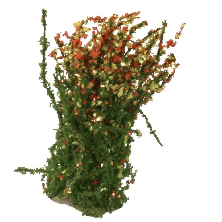 Arbusto florecido cm 4 h