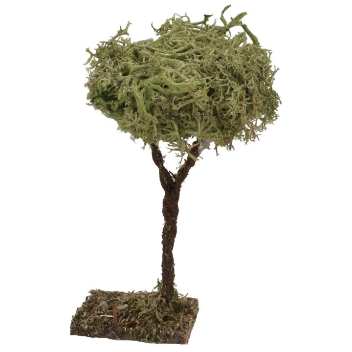 Árbol h. 