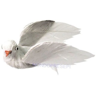 Colomba in volo - PIV