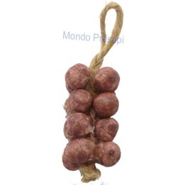 Ceppo di cipolle