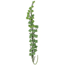 Tralcio di vite verde scuro cm 3x22 h