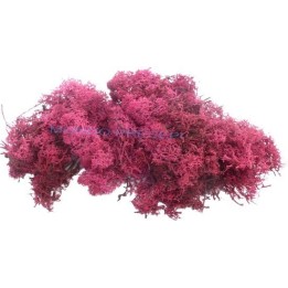 Lichene rosso scuro 50 gr