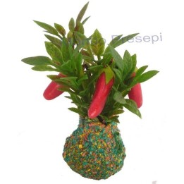 Pianta con Peperoni rossi