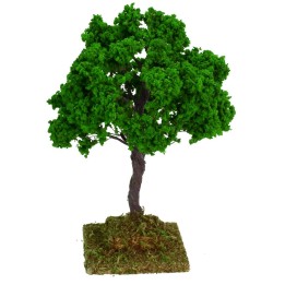 Oak cm 14 h