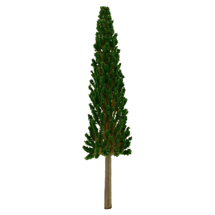 Cipresso senza base 17 cm
